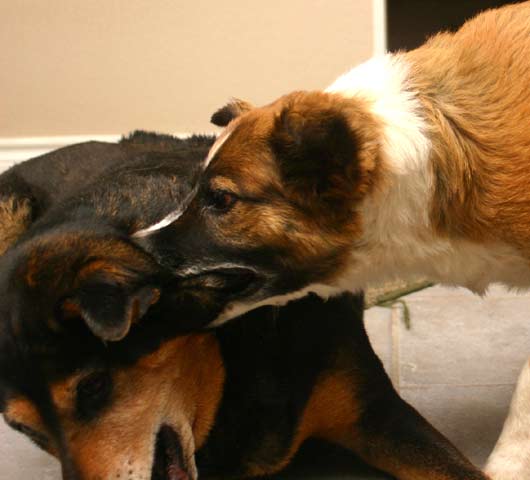 maggie-mouthful.jpg