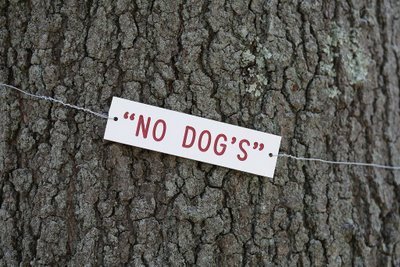 quotes-no-dogs.jpg