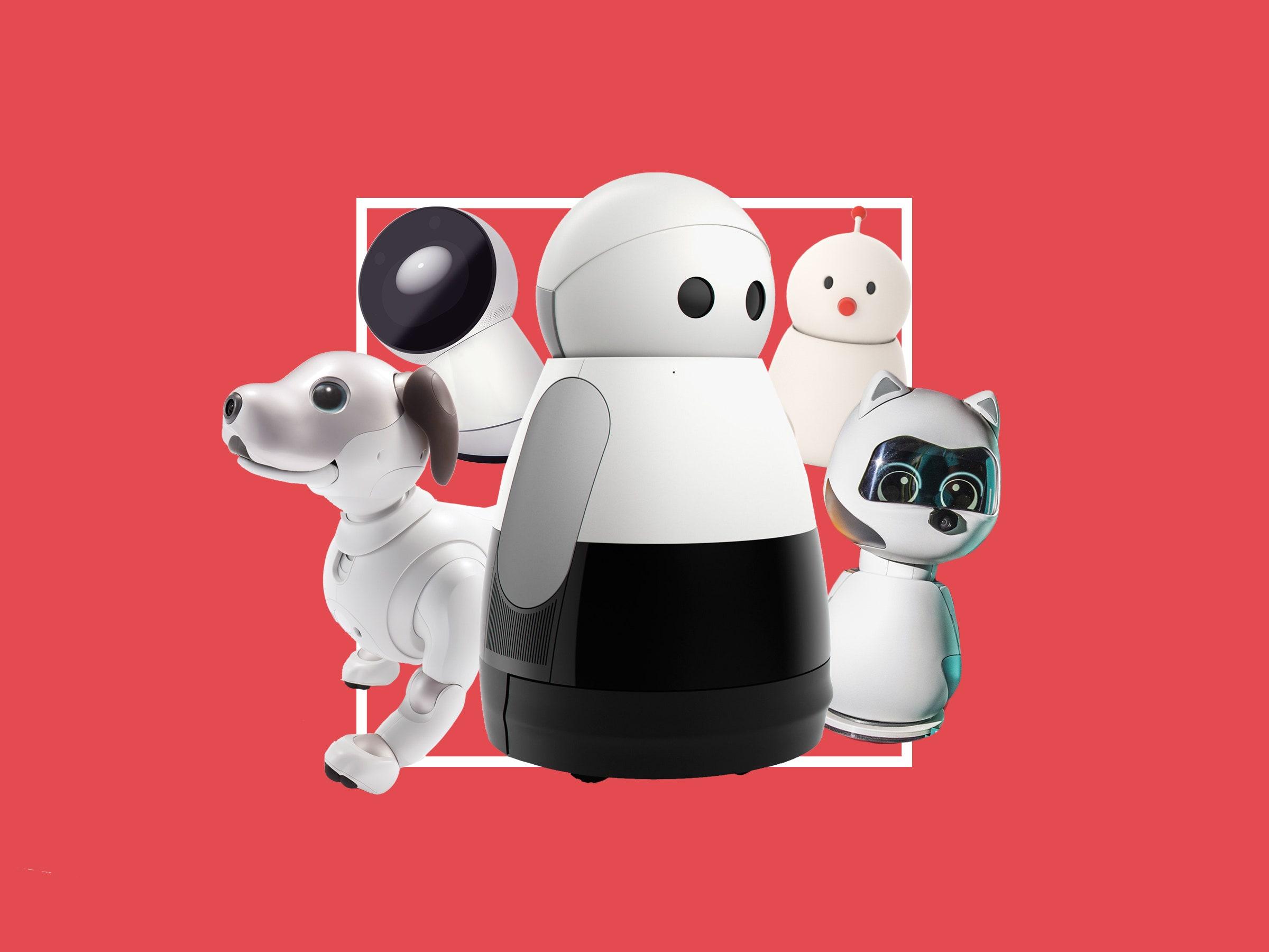 The Second Coming of the Robot Pet | WIRED