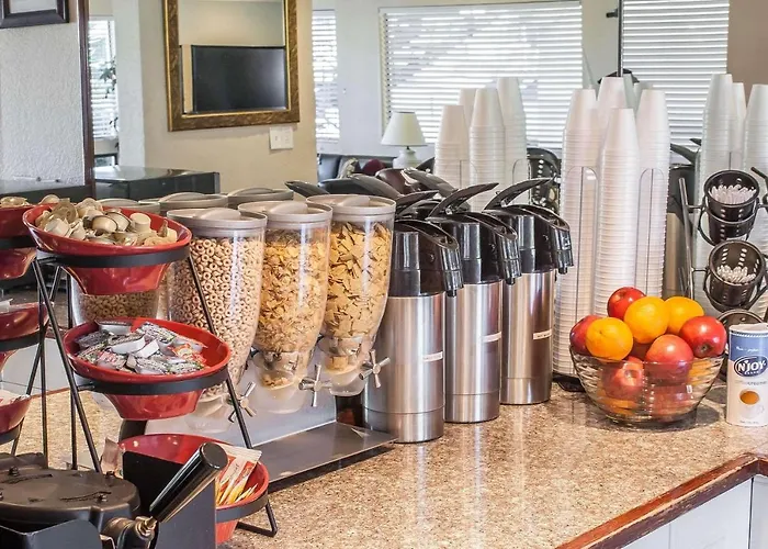 Best Fife Hotels for Every Traveler