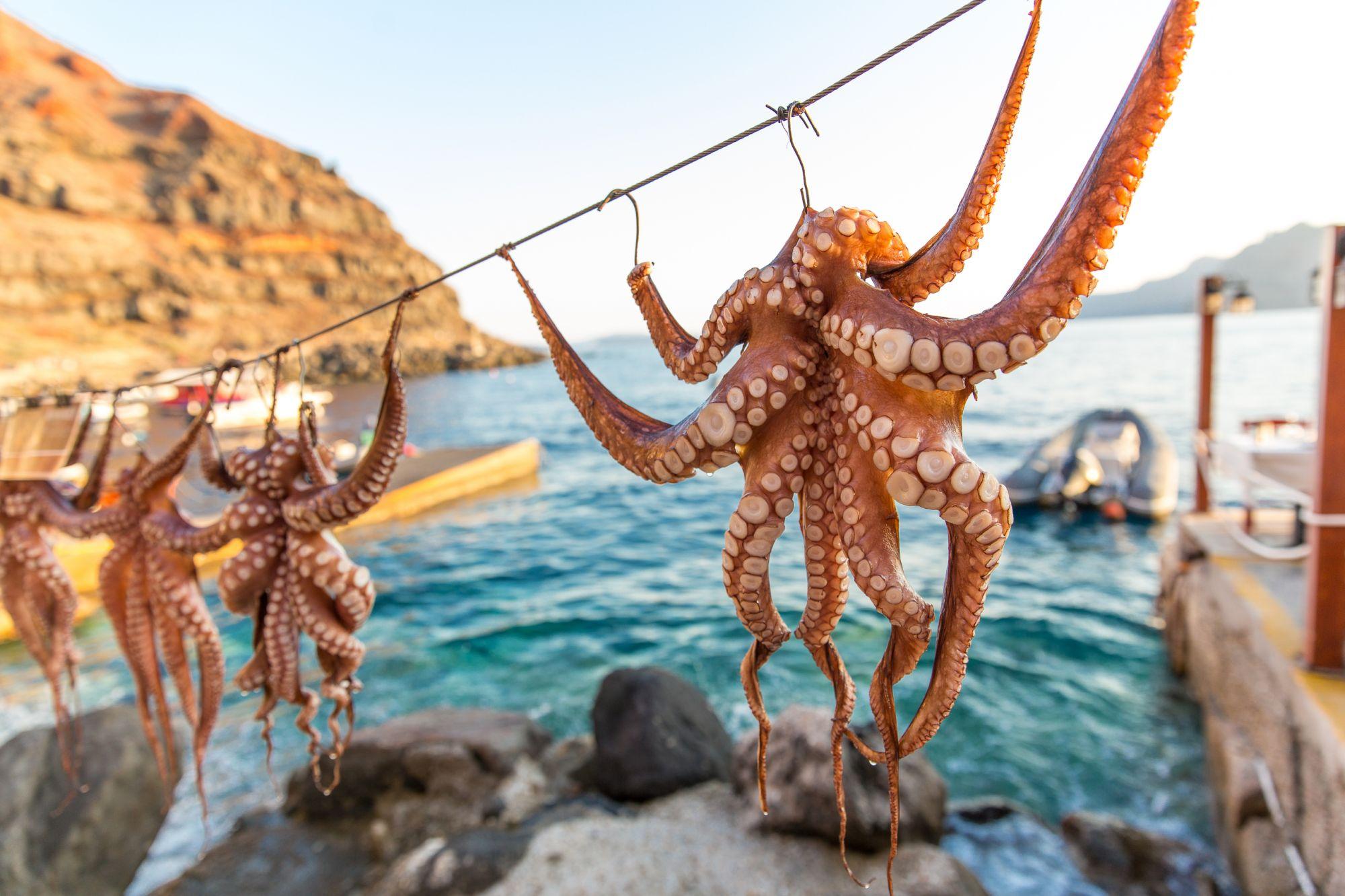 Il polpo è un must dei piatti da ordinare in Grecia © LauraVl / Shutterstock