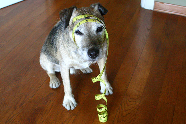 I swear he's happier than he looks I swear he's happier than he looks